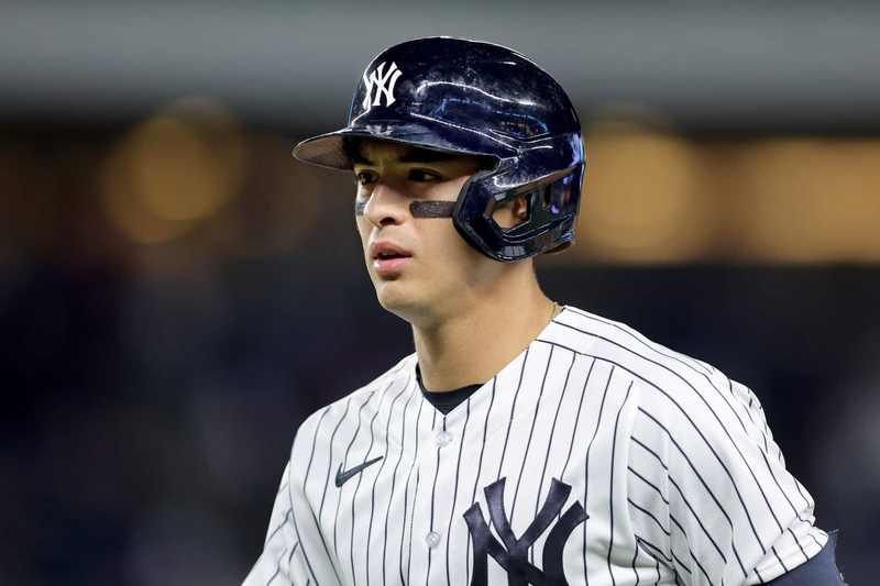 Anthony Volpe of the Yankees before his apparent home run was overturned for fan interference against the Rays