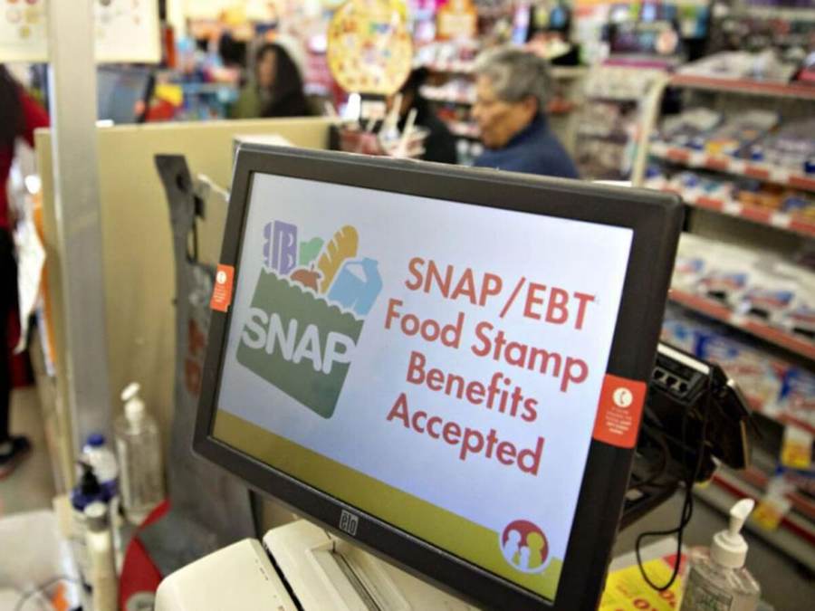 Checkout display stating that SNAP EBT food-stamp benefits are accepted at a grocery store