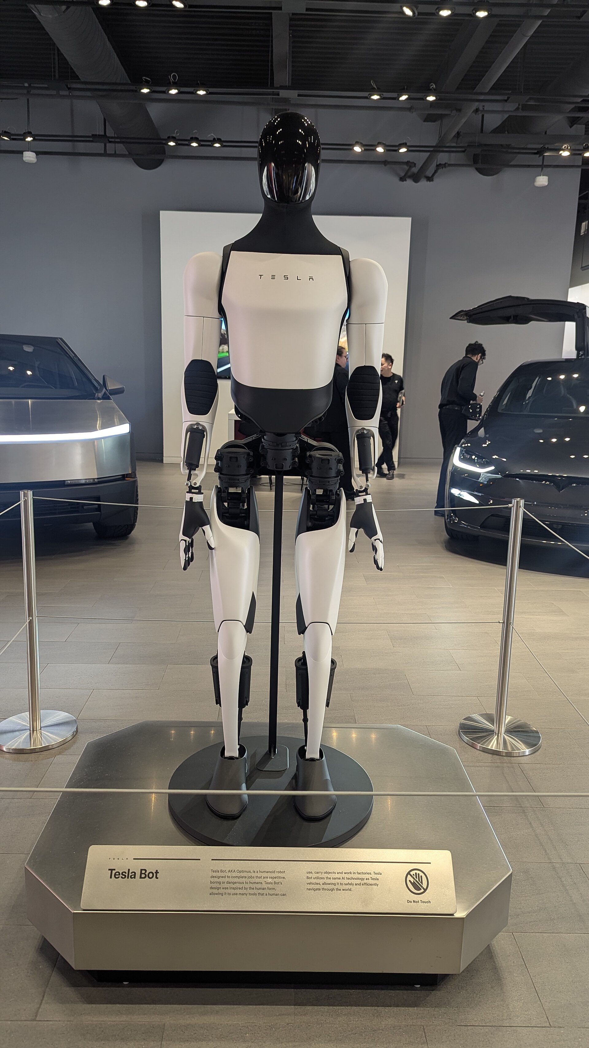 A Tesla Optimus humanoid robot, badged Tesla Bot, on display in a Tesla showroom — Optimus production has started in Fremont, Tesla said