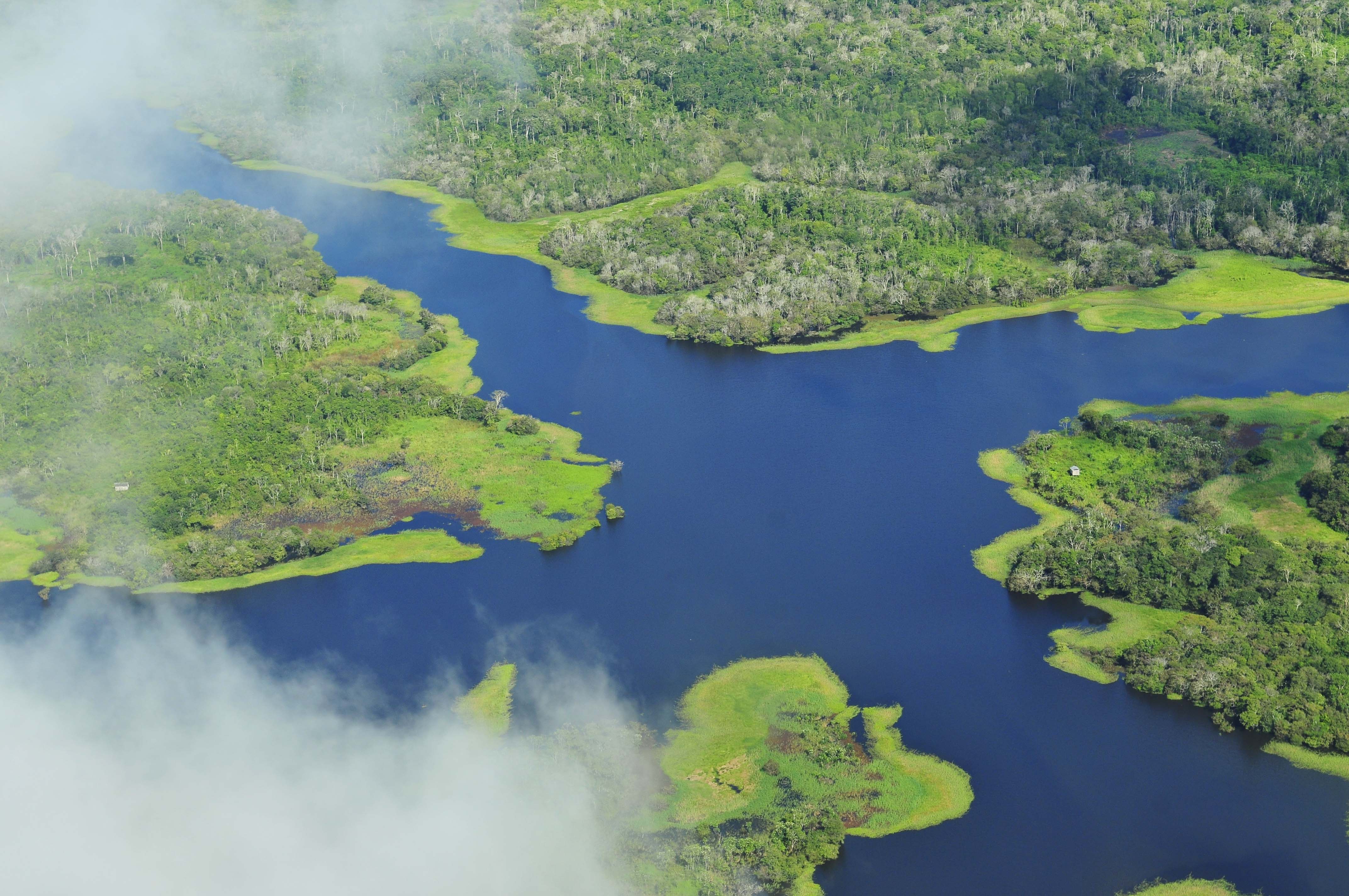 Aerial view of the Amazon rainforest near Manaus, Brazil, the forest at the centre of the Amazon deforestation record low data