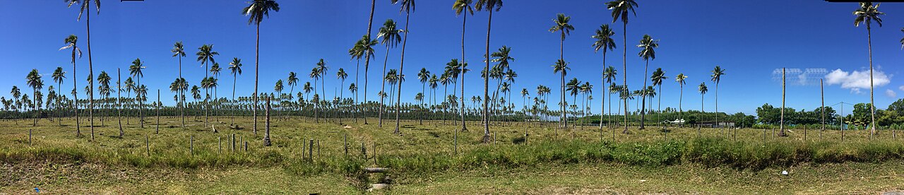 Panorama of Espiritu Santo island in Vanuatu, the largest island in the archipelago and the closest land to the earthquake epicentre