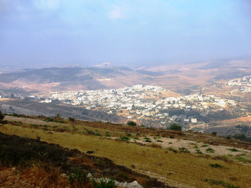 Brad Lander olive harvest — the West Bank village of Nahalin near Bethlehem