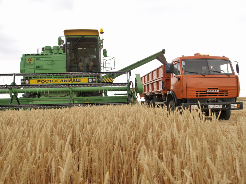 Combine harvester unloading grain into a truck in southern Russia as export bottlenecks trap a larger 2026 harvest