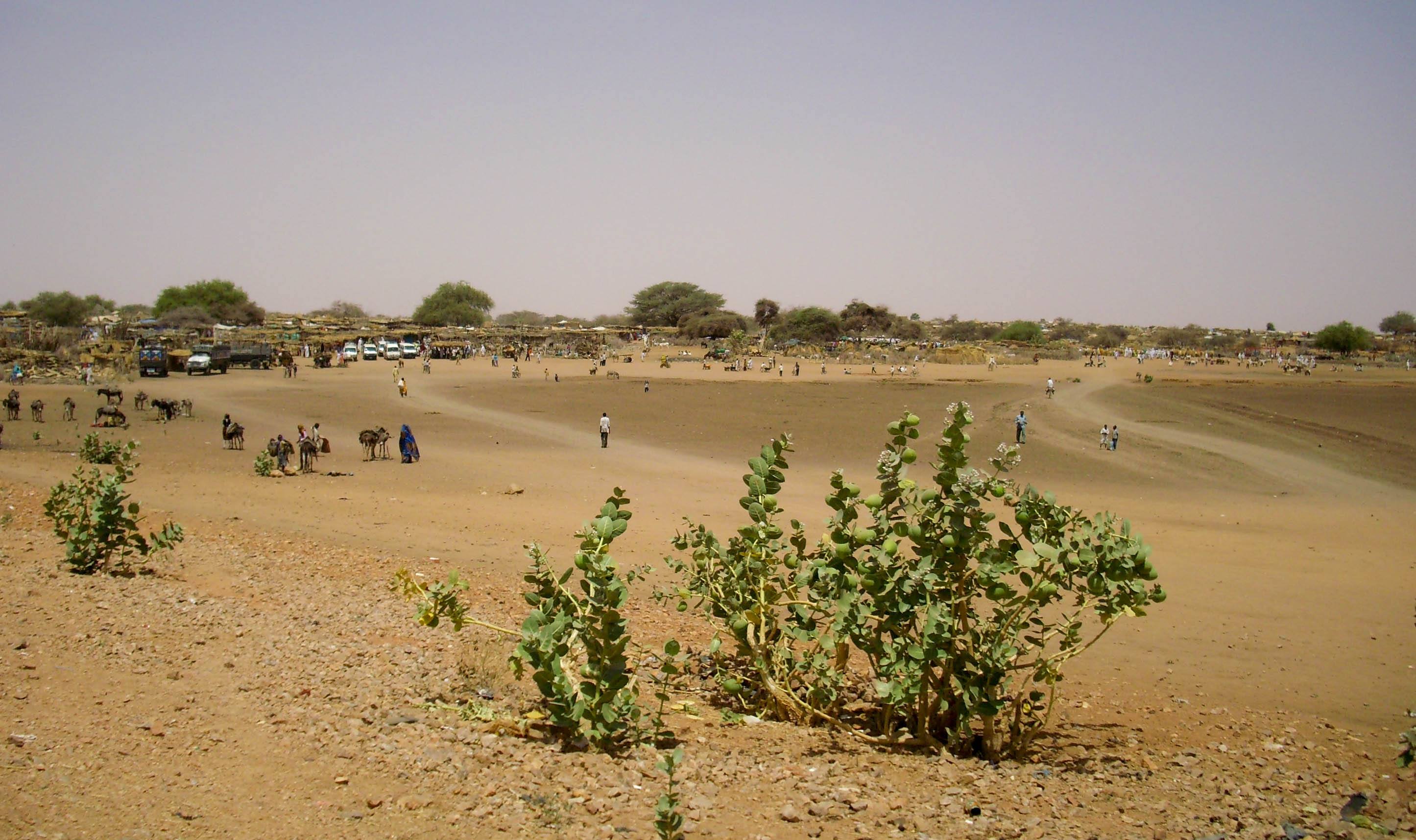 Zamzam camp near El Fasher, central to the Sudan humanitarian crisis and El Fasher siege