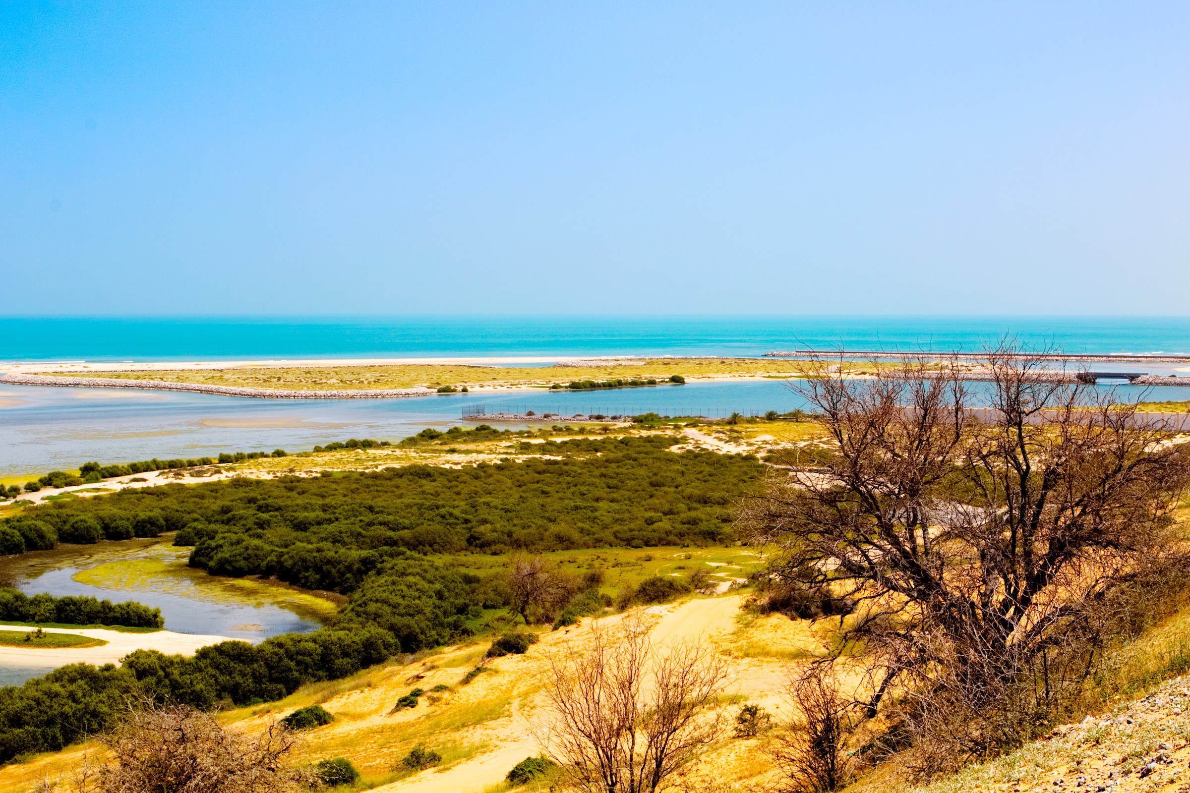 Coastal wetlands and shoreline at Ras Al Khaimah, the third emirate to close its beaches over the UAE oil spill