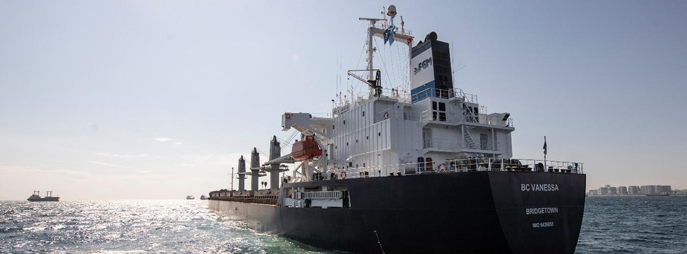 Bulk carrier BC Vanessa at sea in the Black Sea under the grain initiative