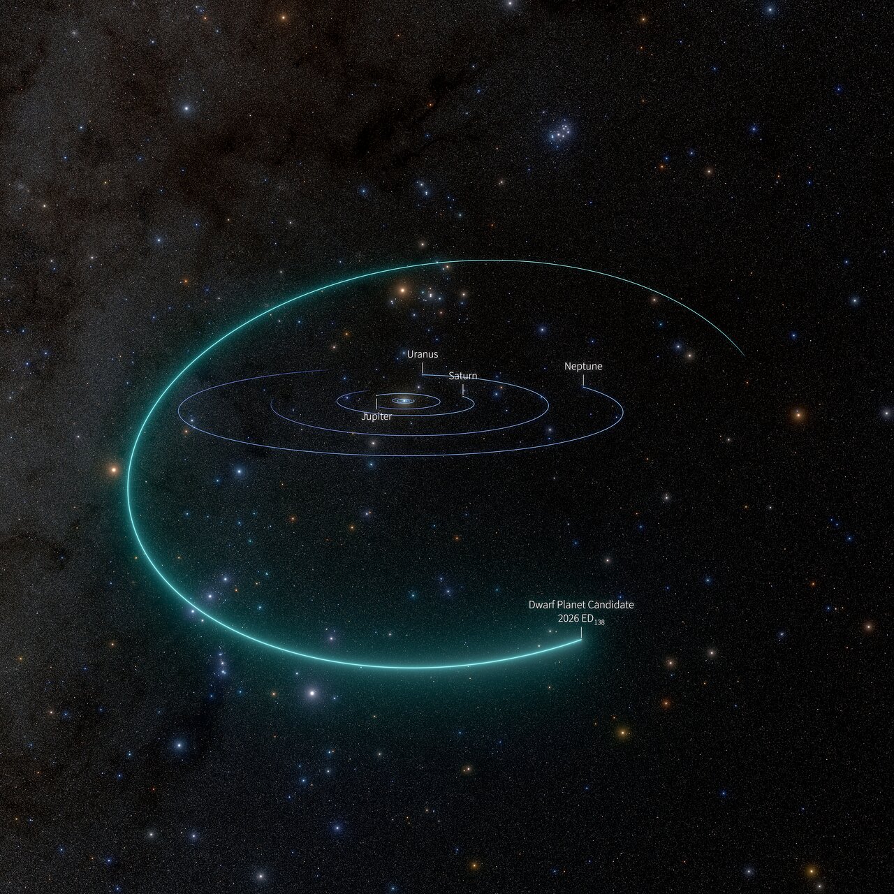 Orbit diagram of dwarf planet candidate 2026 ED138 showing its wide, tilted orbit far beyond Neptune, Saturn, Uranus and Jupiter