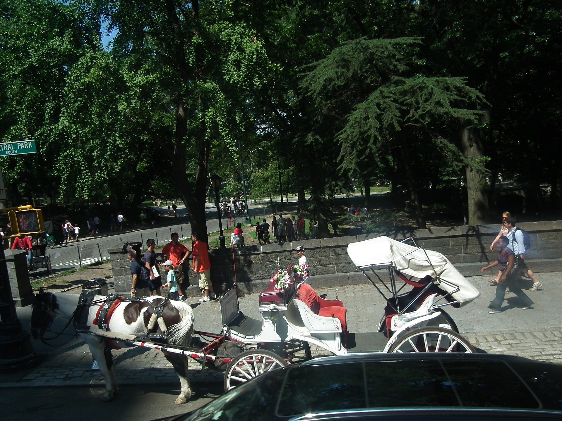 A single horse-drawn carriage in Central Park, New York City, of the kind the NYC horse carriage ban phases out by 2028