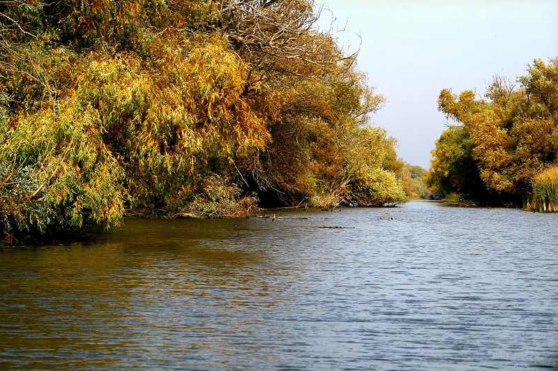 Danube Delta waterways near the Romanian Black Sea coast and Sfantu Gheorghe