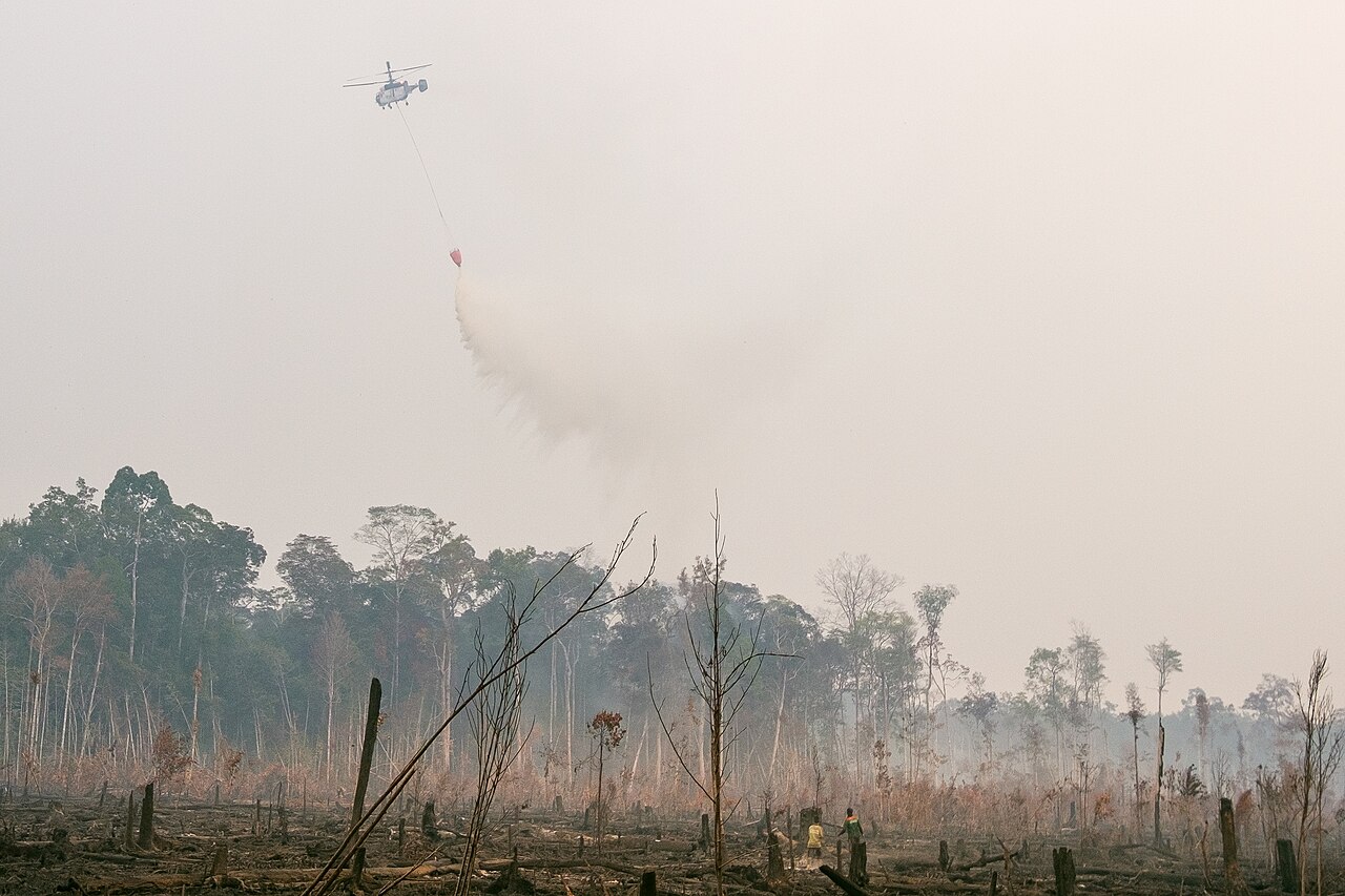 A helicopter water-bombing a peatland fire in Kalimantan, Indonesia, as smoke fills the sky